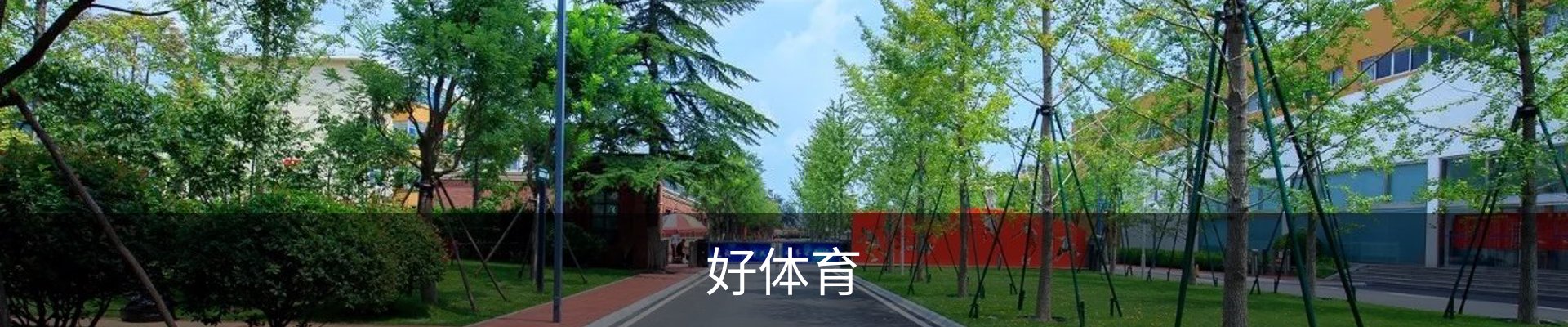 好体育